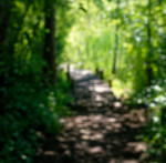 image: Image from the photoset &lsquo;schengen (ii)&rsquo;.