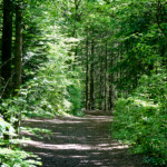 image: Image from the photoset &lsquo;belvaux (v)&rsquo;.