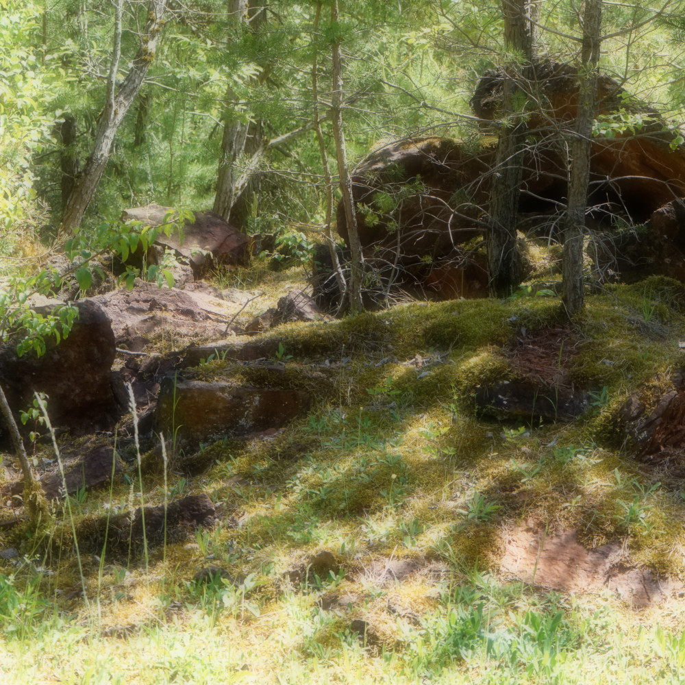 image: This is &lsquo;kayl 2&rsquo;.