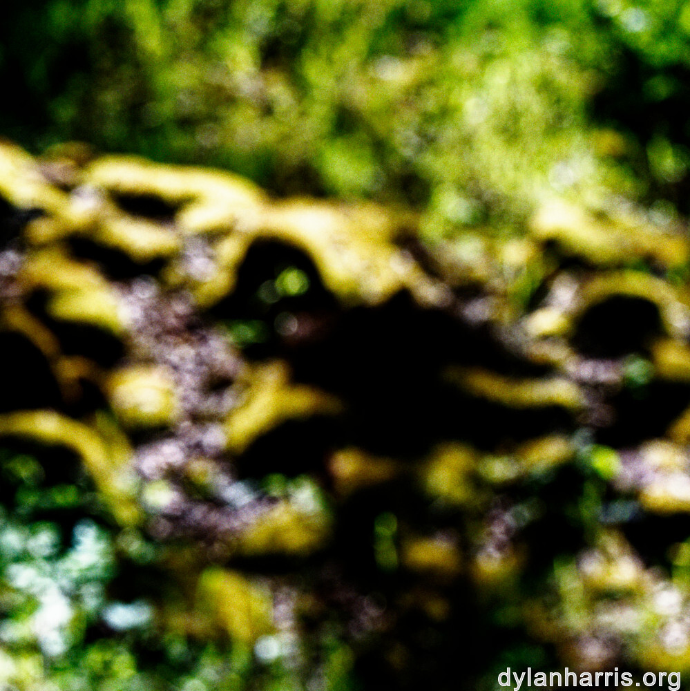 image: This is &lsquo;rumelange 2&rsquo;.