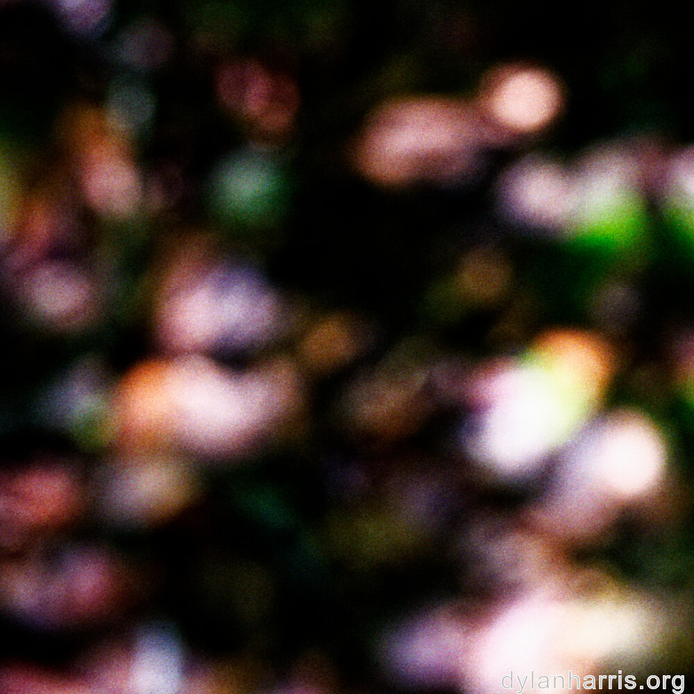 image: This is &lsquo;rumelange 9&rsquo;.