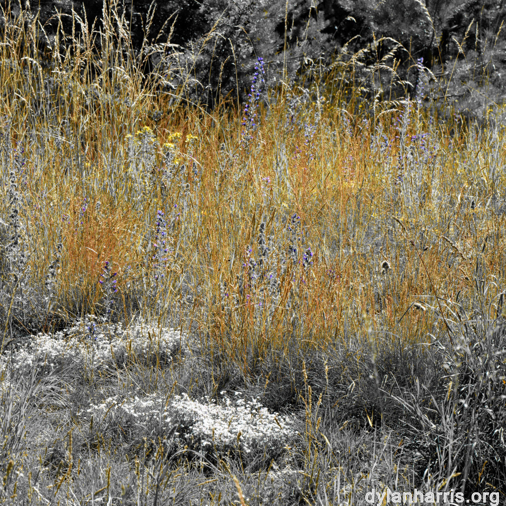 image: This is &lsquo;rumelange 9&rsquo;.