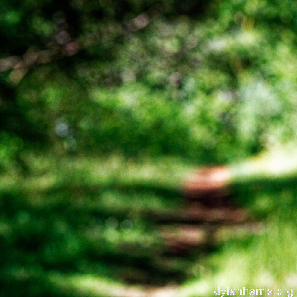image: This is &lsquo;rumelange 3&rsquo;.