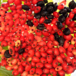 image: Image from the photoset &lsquo;fruit (i)&rsquo;.