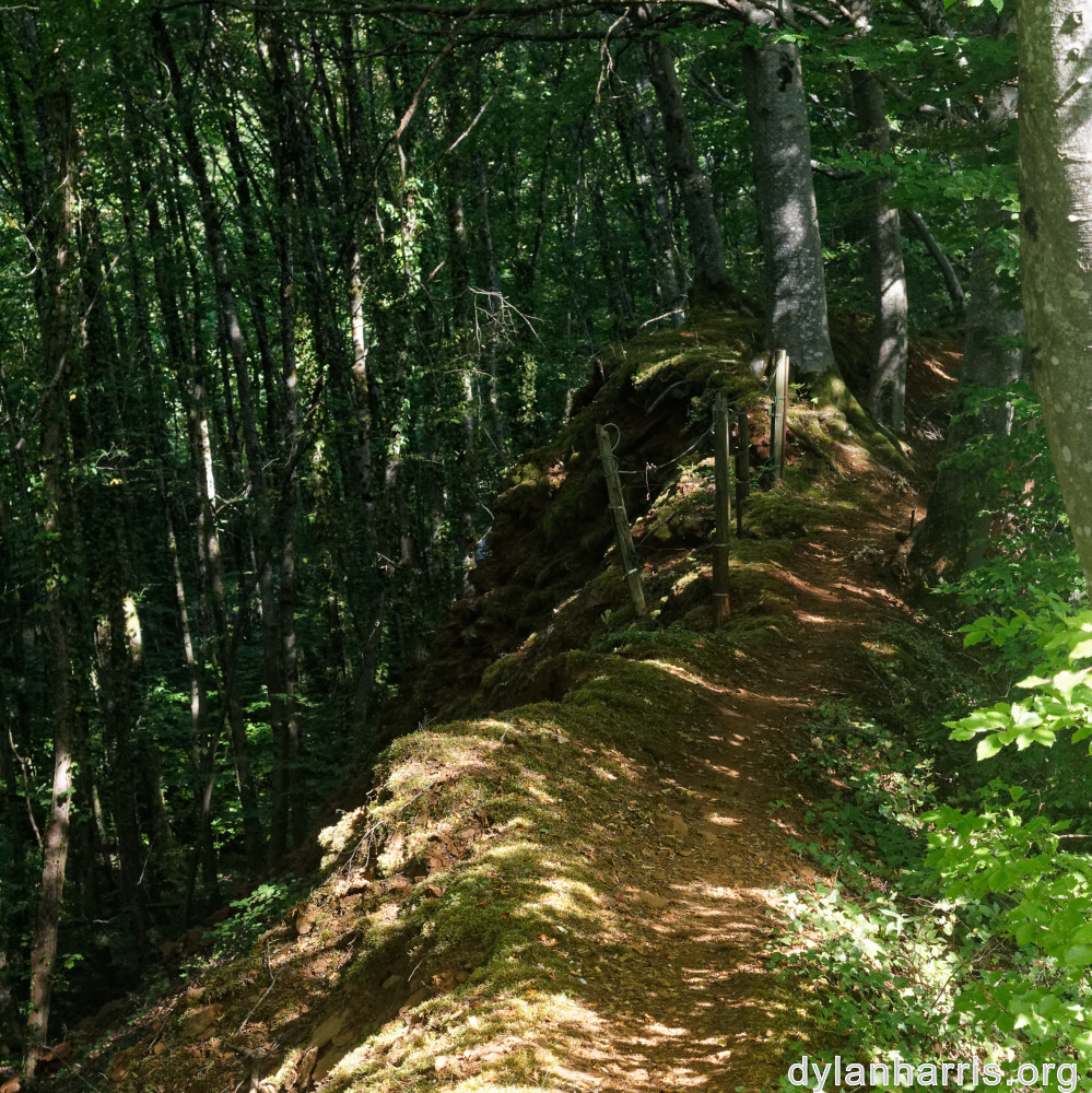 image: This is &lsquo;belvaux (ix) 2&rsquo;.