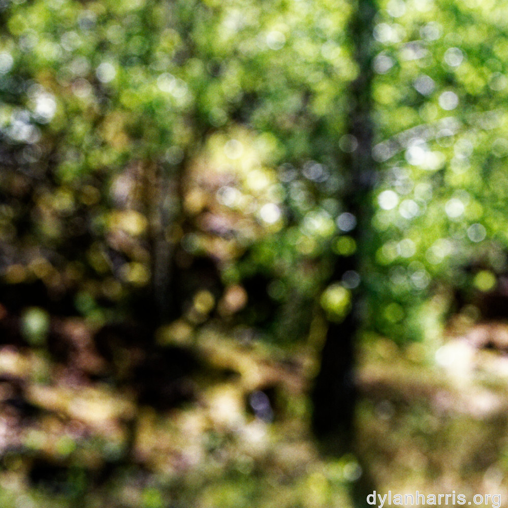 image: This is &lsquo;rumelange 4&rsquo;.