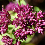 image: Image from the photoset &lsquo;rumelange (xiii)&rsquo;.