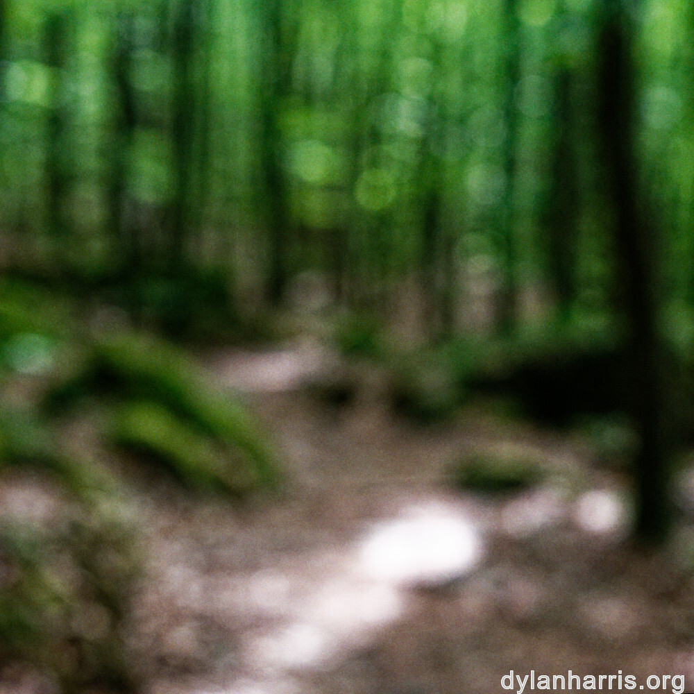 image: This is &lsquo;mullerthal (ii) 4&rsquo;.