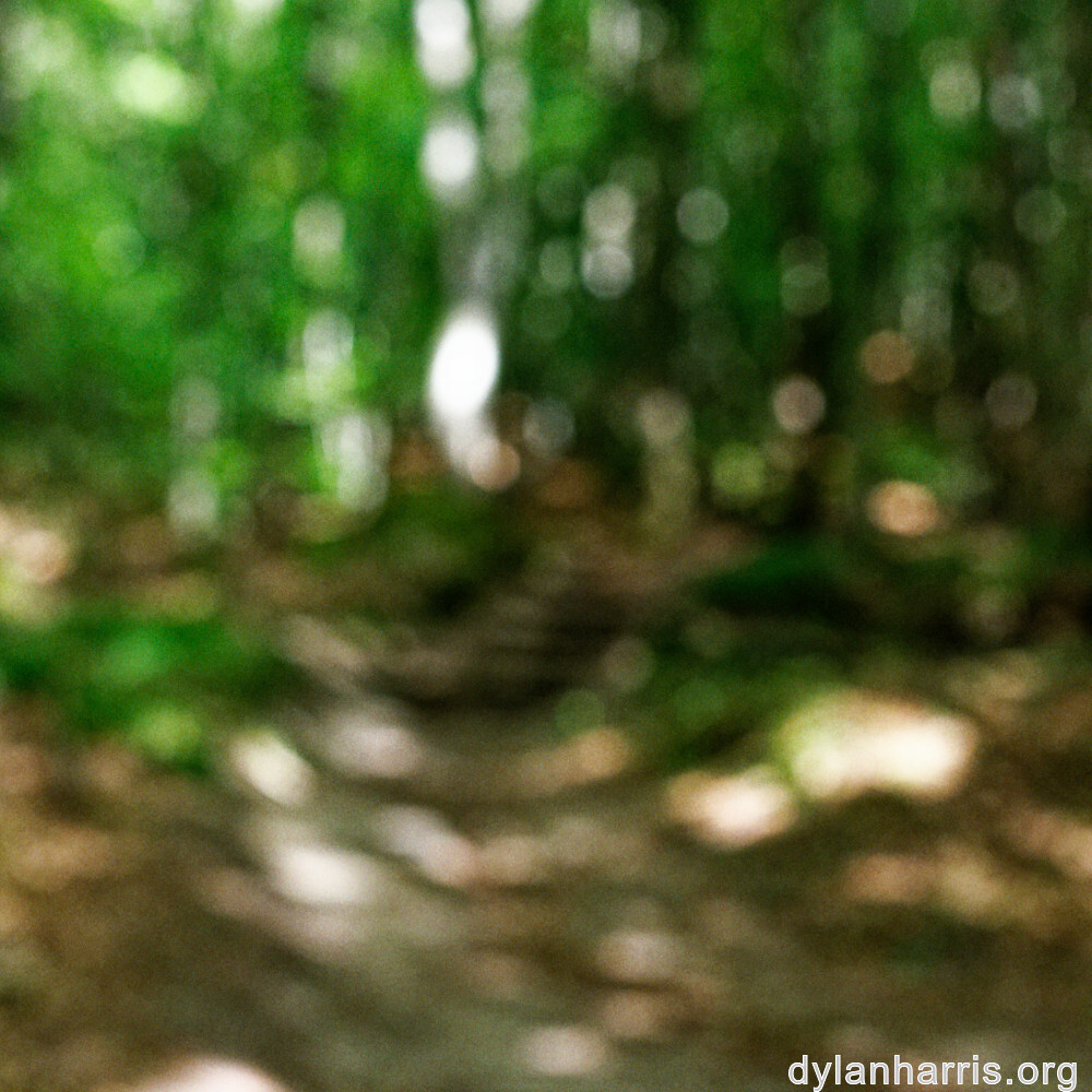 image: This is &lsquo;mullerthal (ii) 5&rsquo;.