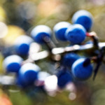image: october