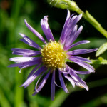 image: Image from the photoset &lsquo;rumelange (xx)&rsquo;.