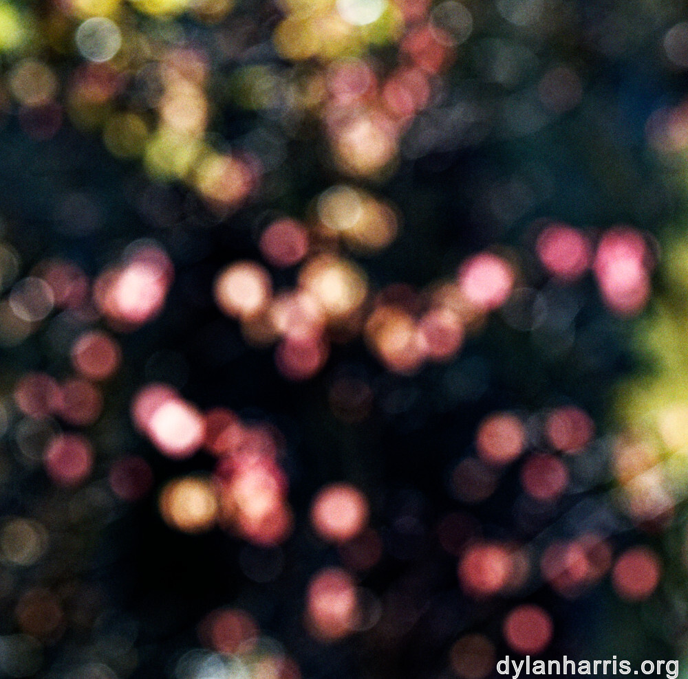 image: This is &lsquo;rumelange 7&rsquo;.