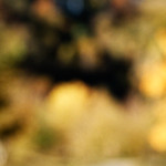 image: Image from the photoset &lsquo;rumelange (xxi)&rsquo;.