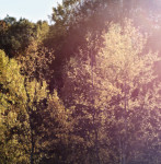 image: Image from the photoset &lsquo;rumelange (xxiii)&rsquo;.