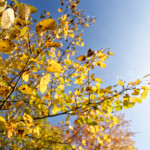 image: Image from the photoset &lsquo;rumelange (xxvii)&rsquo;.