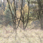 image: Image from the photoset &lsquo;rumelange (xxix)&rsquo;.