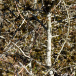 image: Image from the photoset &lsquo;rumelange (xxx)&rsquo;.