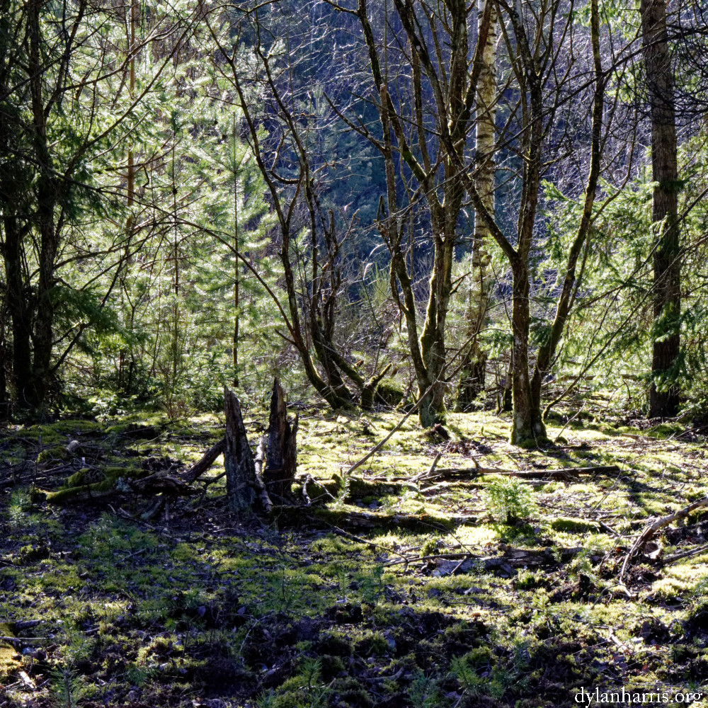 image: This is &lsquo;rumelange (xxxii) 1&rsquo;.