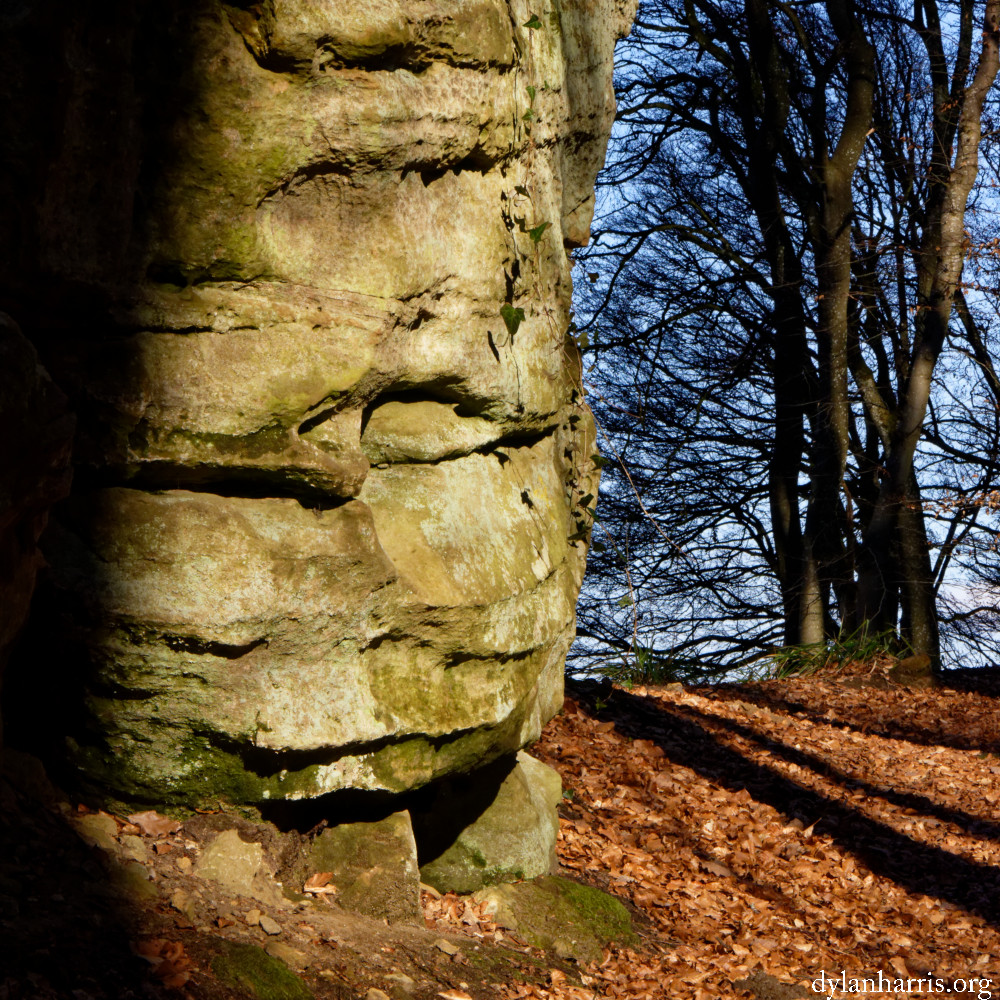 image: This is &lsquo;mullerthal (vi) 3&rsquo;.