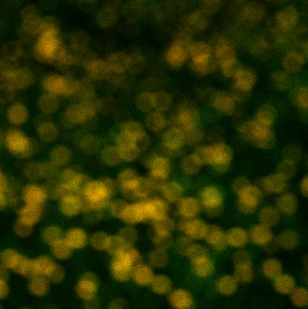 image: This is &lsquo;rumelange (xxxiii) 2&rsquo;.
