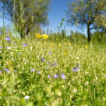 image: Image from the photoset &lsquo;rumelange (xxxv)&rsquo;.