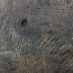 image: Image from the photoset &lsquo;nothing is permament (iv)&rsquo;.