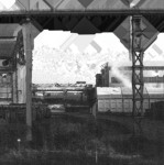 image: Image from the photoset &lsquo;damage (cccxxvii)&rsquo;.