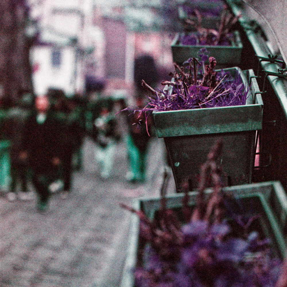 image: This is &lsquo;montmartre (xvi) 1&rsquo;.