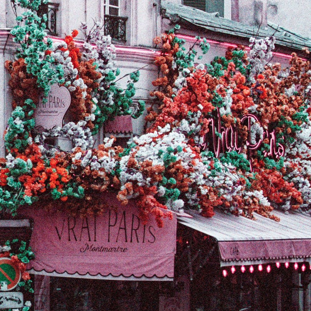 image: This is &lsquo;montmartre (xvi) 3&rsquo;.