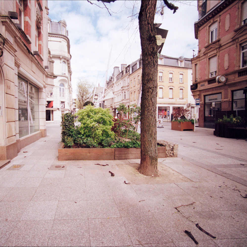 image: This is &lsquo;esch/uelzecht (xli) 5&rsquo;.