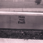 image: esch