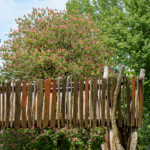 image: Image from the photoset &lsquo;esch/uelzecht (xliv)&rsquo;.