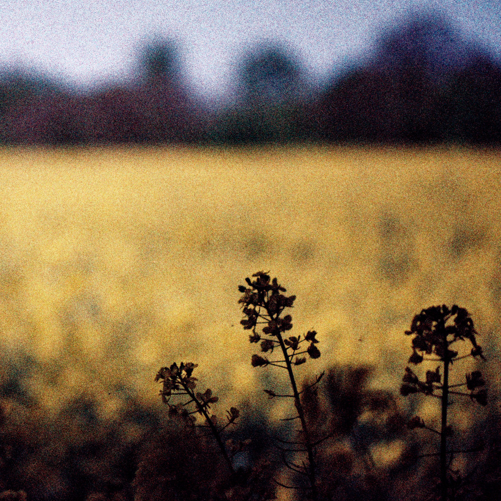 image: This is &lsquo;terres rouges (xxvi) 6&rsquo;.