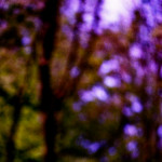 image: Image from the photoset &lsquo;terres rouges (xxviii)&rsquo;.