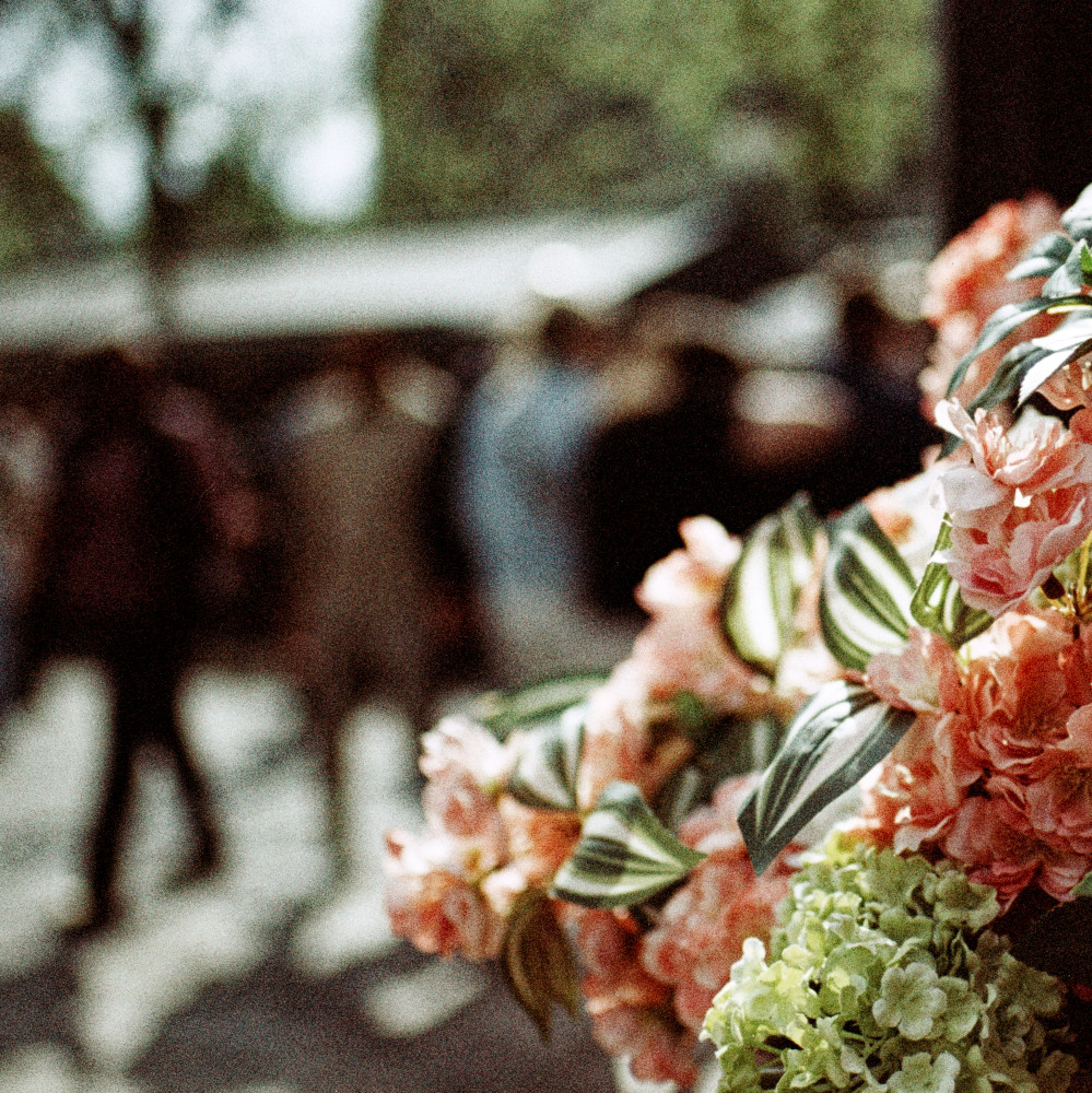 image: This is &lsquo;paris (xxi) 6&rsquo;.