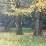 image: Image from the photoset &lsquo;esch/uelzecht (il)&rsquo;.