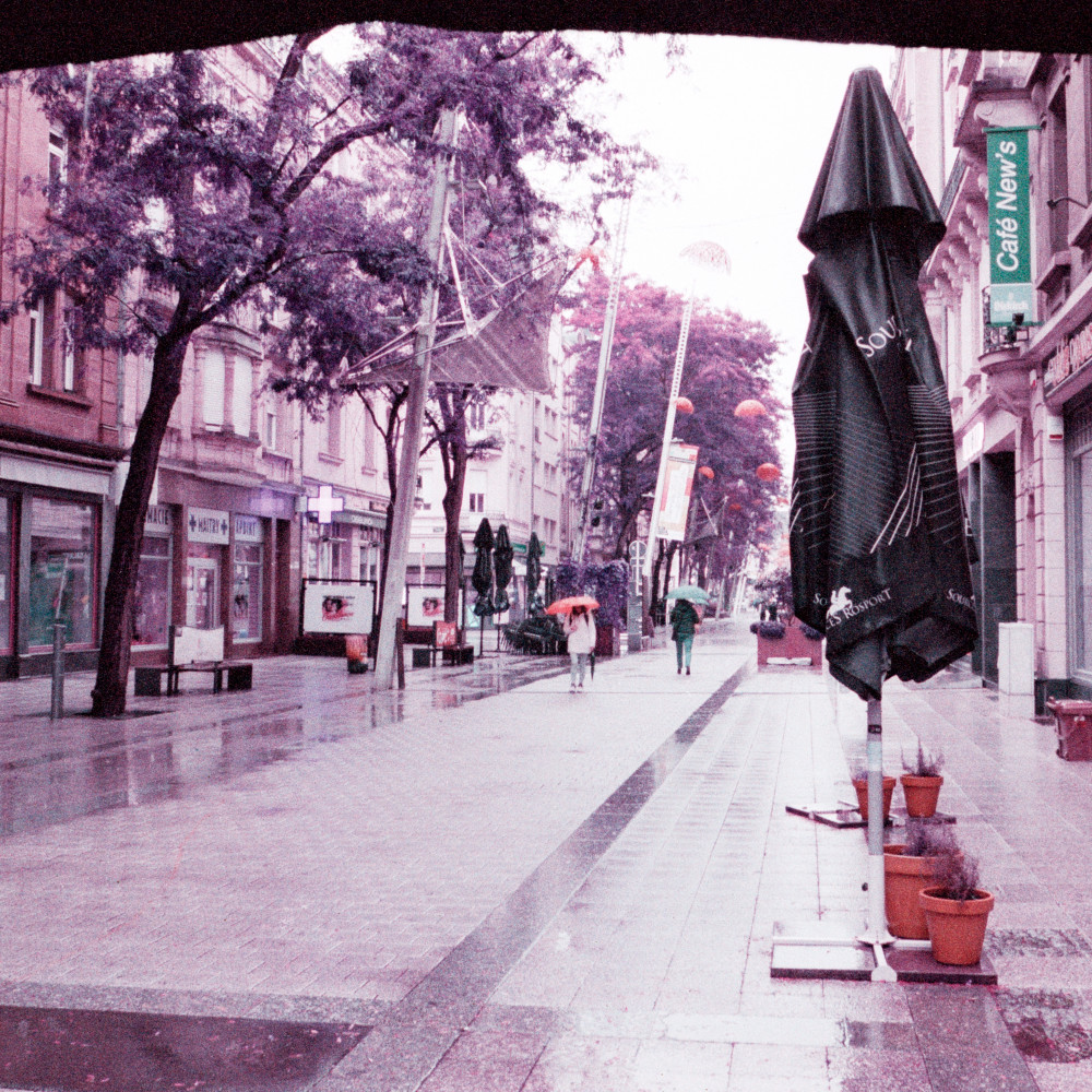 image: This is &lsquo;esch/uelzecht (l) 1&rsquo;.