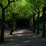 image: Image from the photoset &lsquo;esch/uelzecht (lix)&rsquo;.