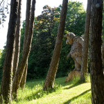 image: SSC