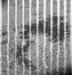 image: Image from the photoset &lsquo;belval (vi)&rsquo;.