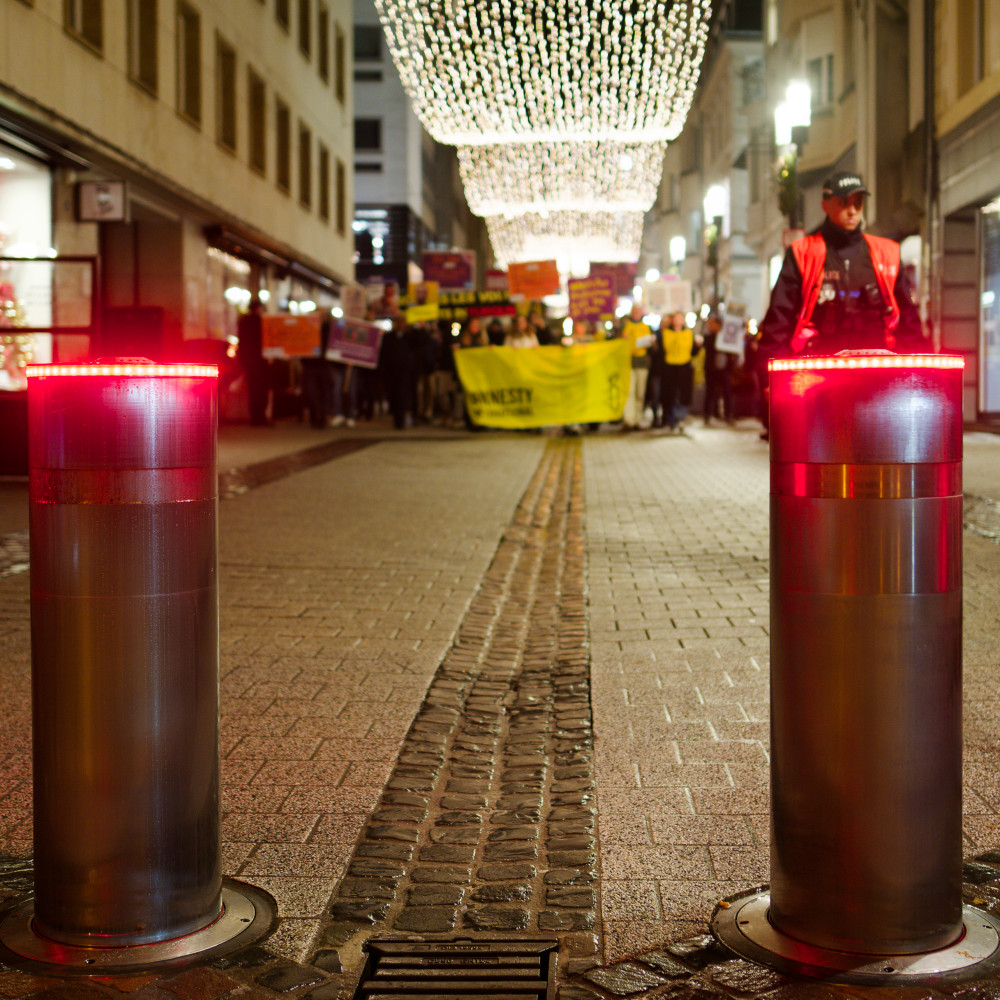 image: This is &lsquo;amnesty international (ii) 3&rsquo;.