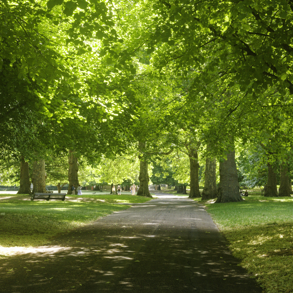 image: This is &lsquo;green park 3&rsquo;.