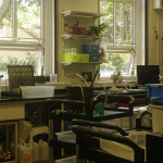 image: Image from the photoset &lsquo;bedford school (i)&rsquo;.