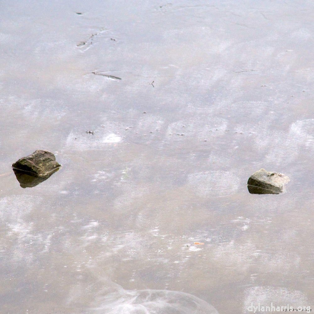 image: This is &lsquo;stanwick (i) 2&rsquo;.