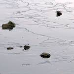 image: Image from the photoset &lsquo;stanwick (i)&rsquo;.