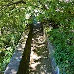 image: Image from the photoset &lsquo;konscht am gronn (iv)&rsquo;.