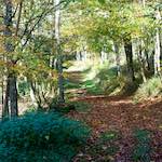 image: Image from the photoset &lsquo;terres rouges (vi)&rsquo;.