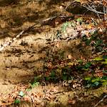 image: Image from the photoset &lsquo;terres rouges (vi)&rsquo;.