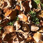 image: Image from the photoset &lsquo;terres rouges (vi)&rsquo;.