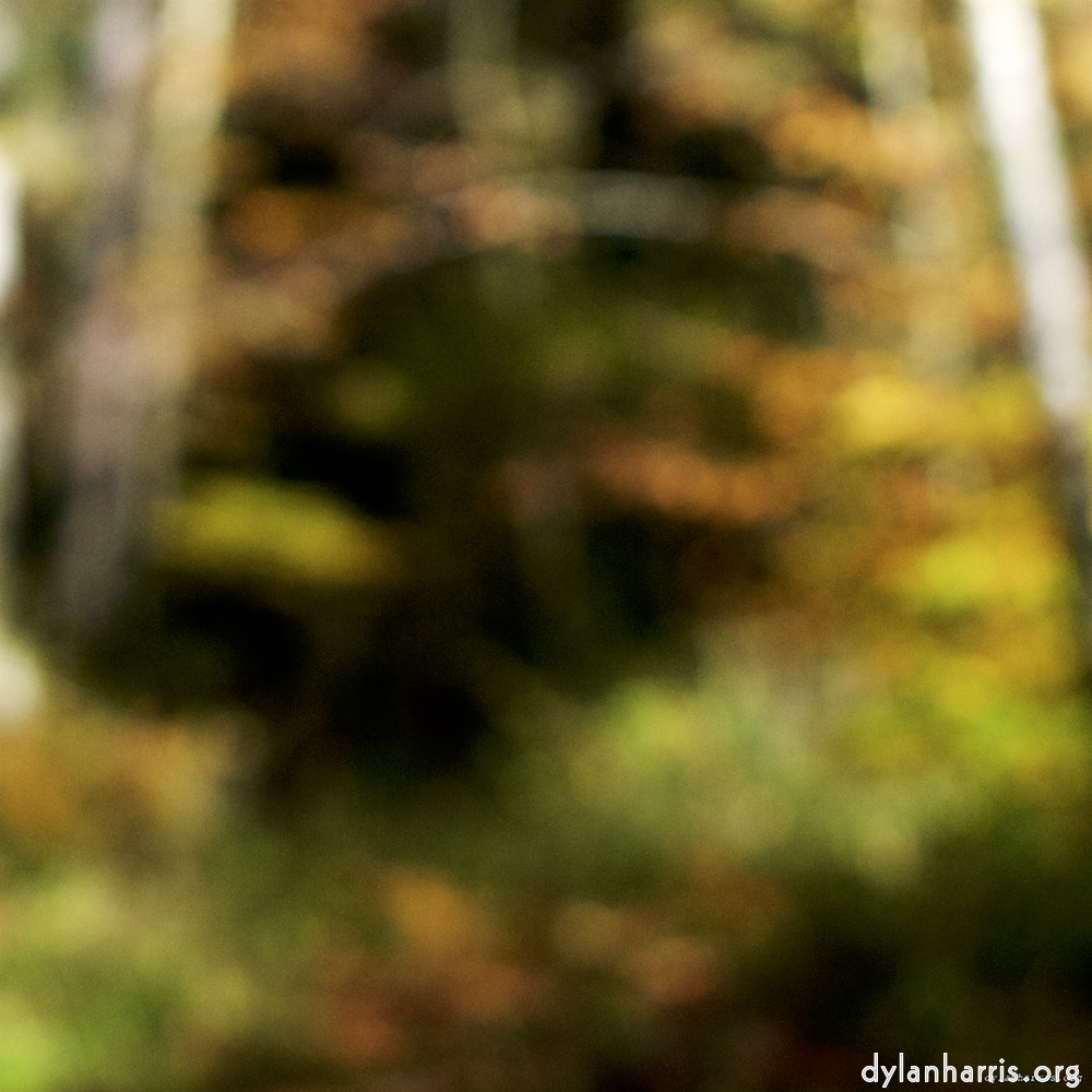 image: This is &lsquo;wood (xix) 5&rsquo;.